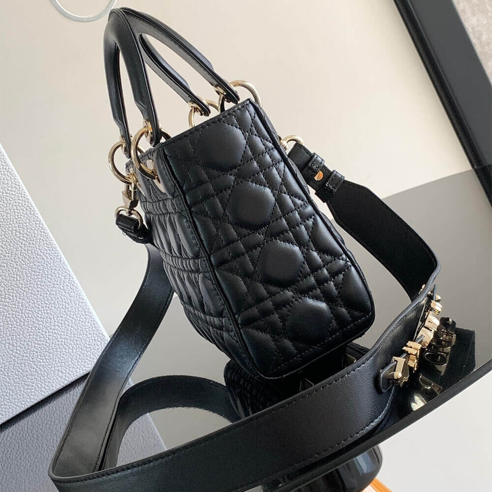 small lady D*or my abcD*or bag