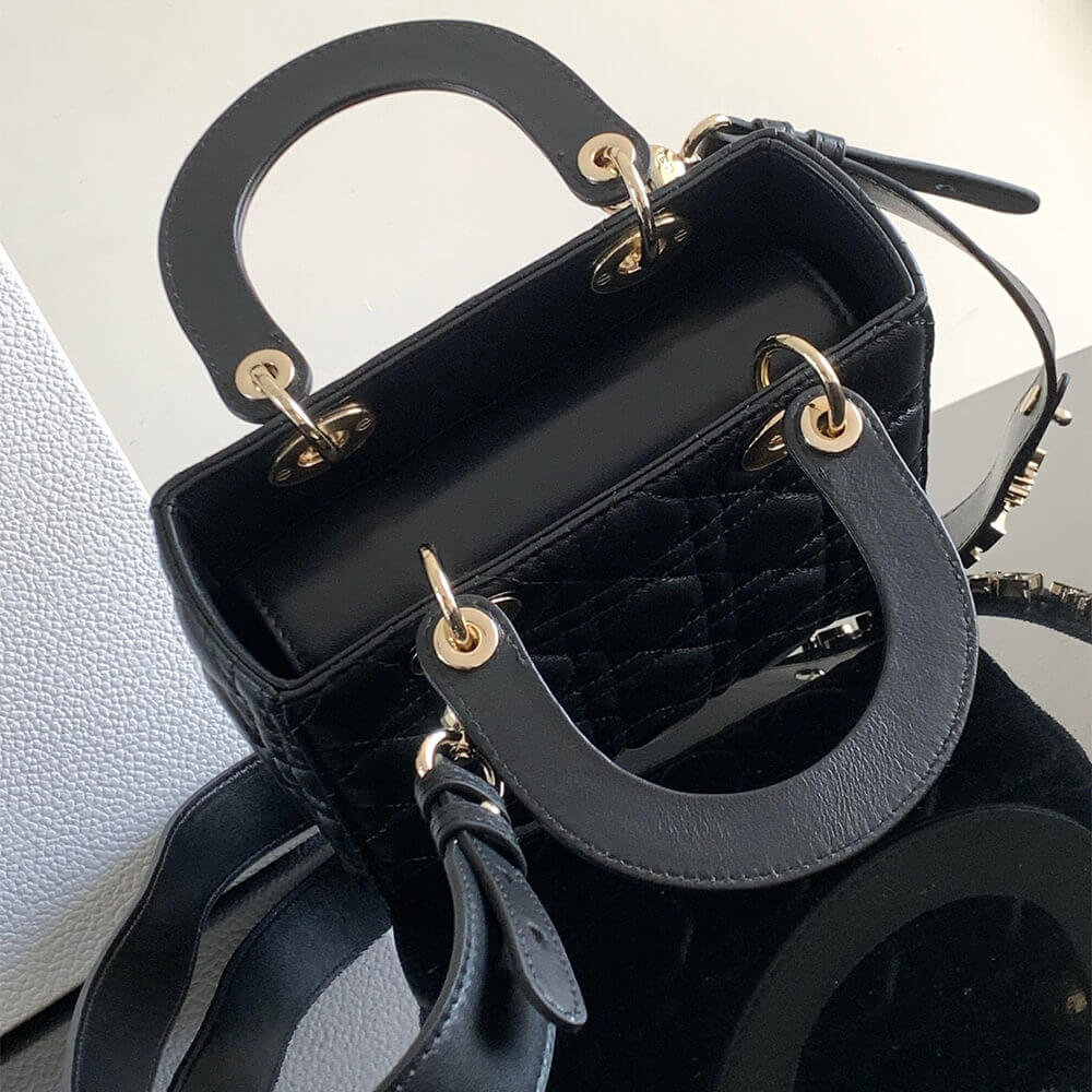 small lady D*or my abcD*or bag