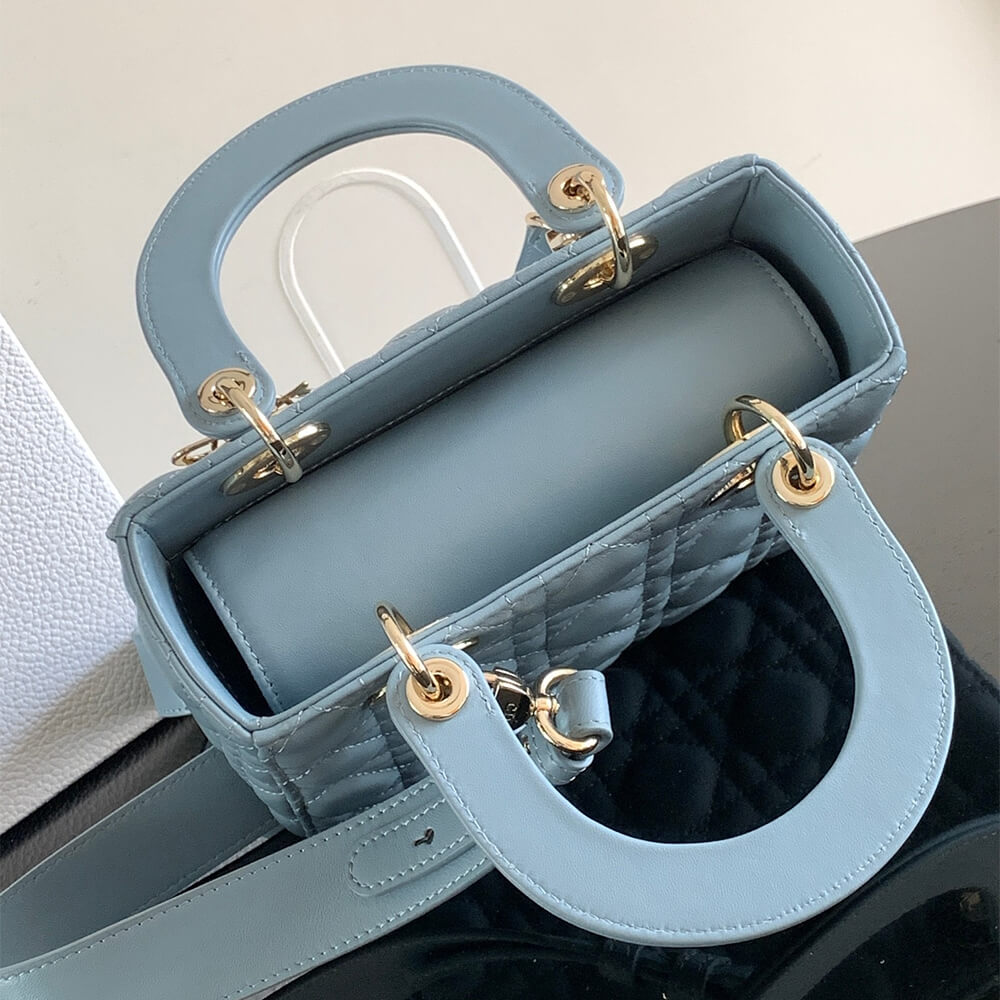 small lady D*or my abcD*or bag